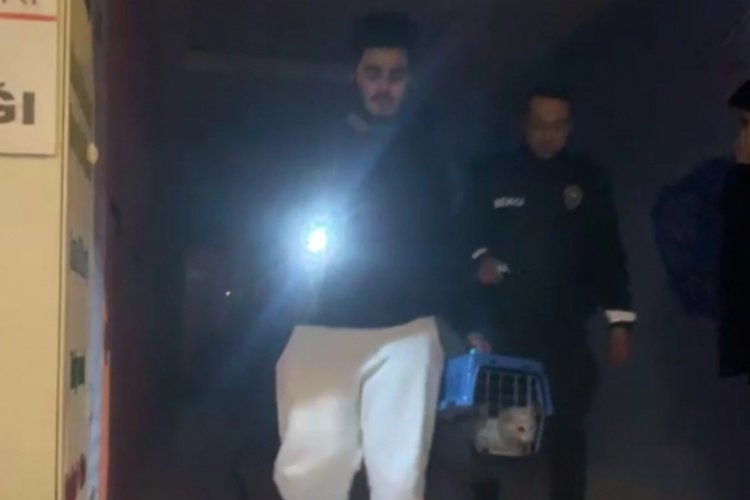 Bilecik'te evde &ccedil;ıkan yangında kedisini kurtarmakta i&ccedil;in her şeyi yaptı