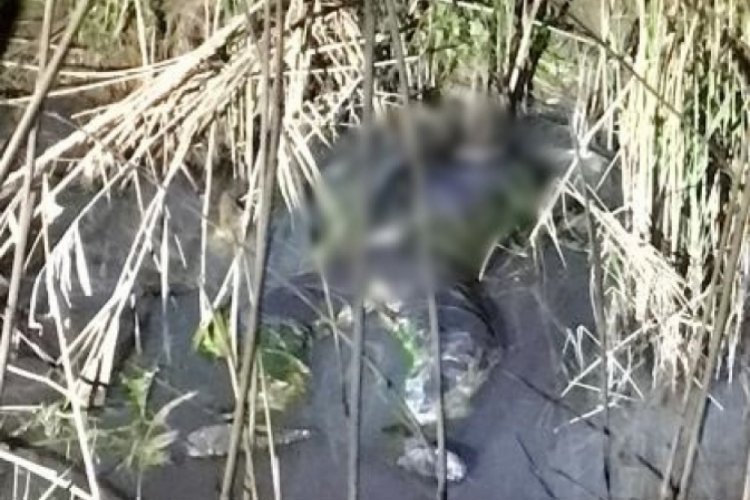 Tekirdağ'da derede erkek cesedi bulundu