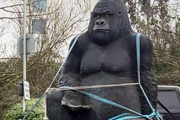 İsko&ccedil;ya polisi &ccedil;alınan dev goril heykelini arıyor