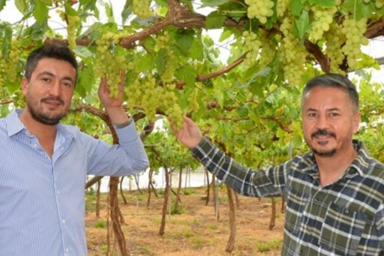 &Uuml;z&uuml;m hasadı başladı: İ&ccedil; piyasaya 500, dış piyasaya bin TL