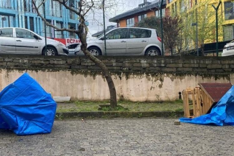 İstanbul'da sitede k&ouml;pek kul&uuml;besi tartışması