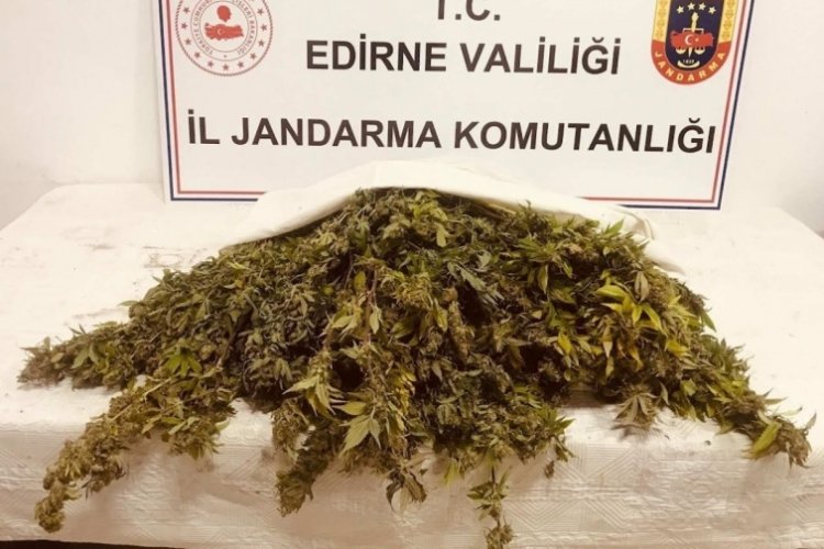 Edirne'de jandarmadan zehir tacirlerine darbe