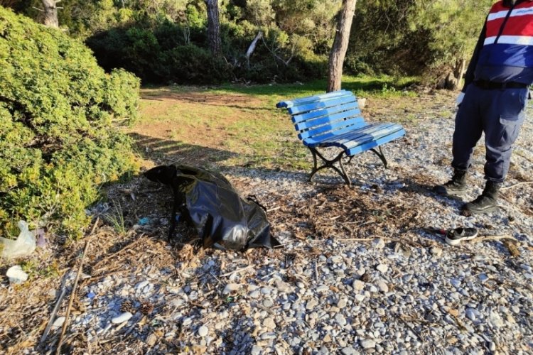 Aydın Kuşadası'nda kıyıya baş, kol ve bacakları olmayan 2 erkek cesedi bulundu