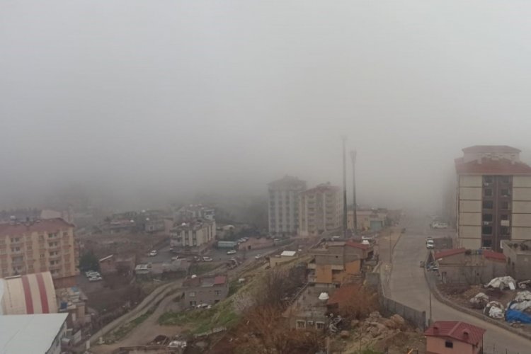 Şırnak'ta eğitime sis engeli