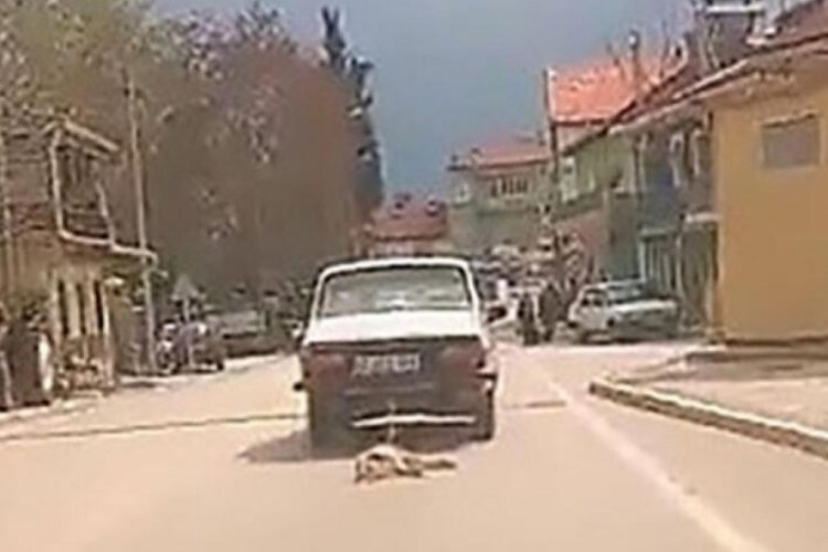 Denizli'de k&ouml;peği araca bağlayıp s&uuml;r&uuml;kleyerek &ouml;ld&uuml;ren şahsın savunmasına tepki
