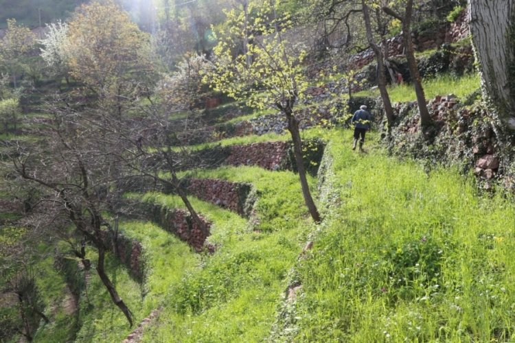 Artvin'de duvar ustasının şaşırtan tekniği! 2 d&ouml;n&uuml;ml&uuml;k araziyi 8 d&ouml;n&uuml;me &ccedil;ıkardı