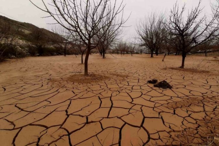 Adıyaman'da sel felaketinden sonra meyve bah&ccedil;eleri &ccedil;amur ve taşlarla kaplandı