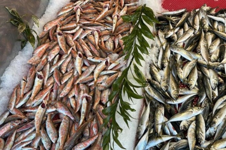 Avlanma yasağı başladı