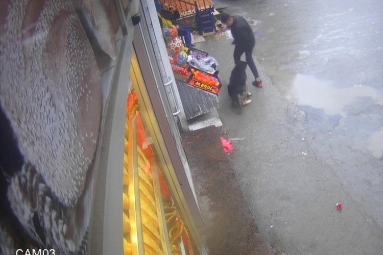 Zonguldak'ta k&ouml;pek &ccedil;ocuğa saldırdı