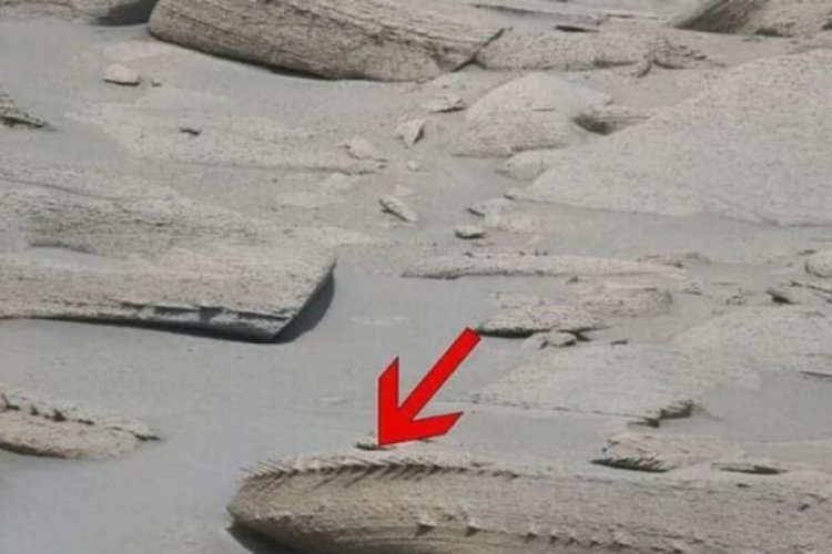 Mars'ta kemik benzeri garip bir cisim tespit edildi