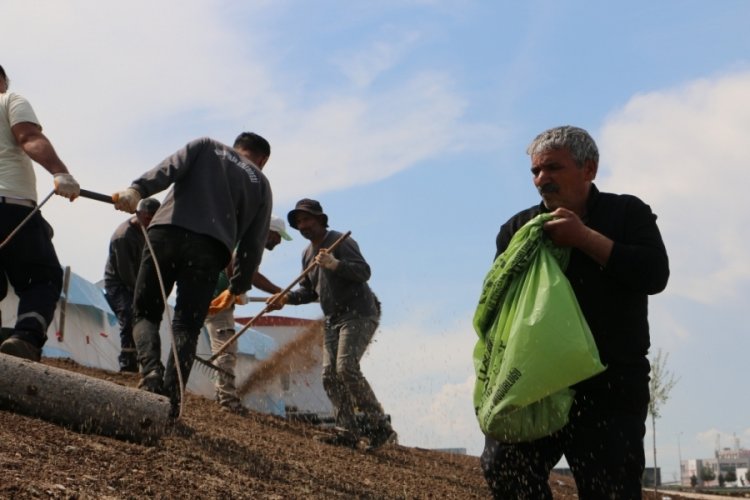 Diyarbakır'da 621 aileye yuva olacak konteyner kentte &ccedil;alışmalar s&uuml;r&uuml;yor