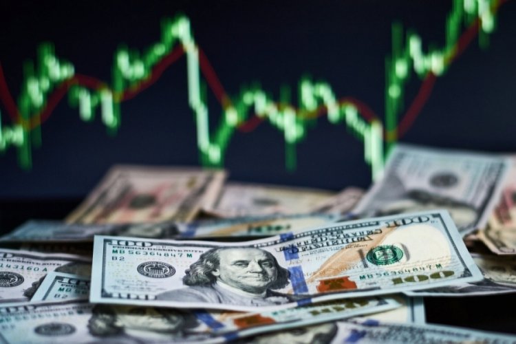 Merkez Bankası'ndan d&ouml;viz kısıtlaması