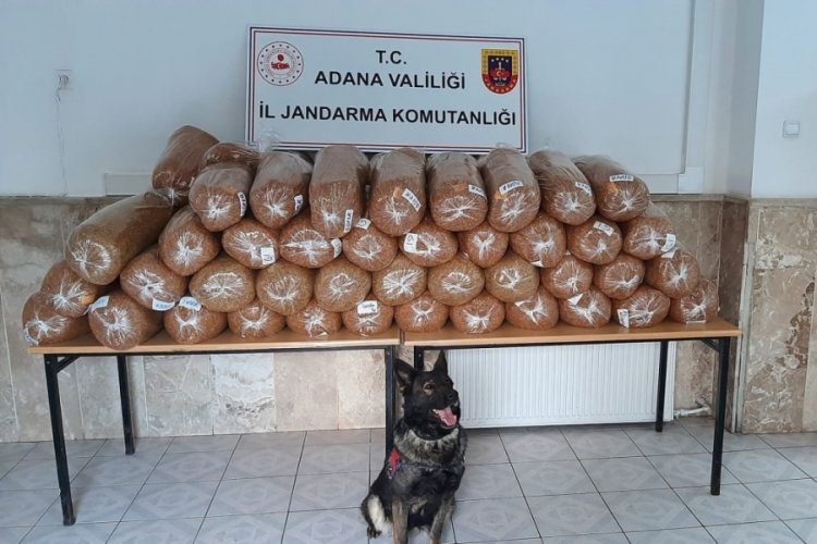 Adana'da ka&ccedil;ak t&uuml;t&uuml;n operasyonu!  3 kişi g&ouml;zaltına alındı