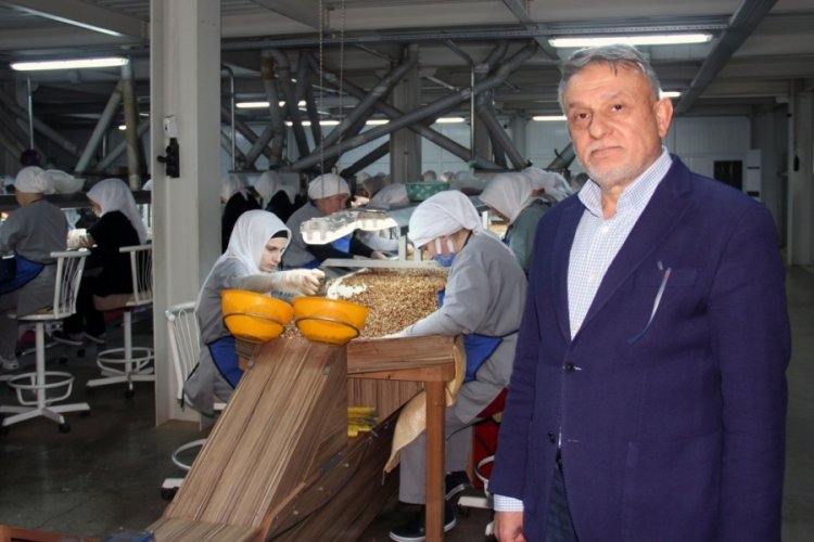Fındık sezonunda y&uuml;ksek rekolte bekleniyor
