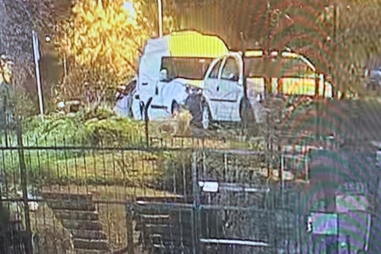 İstanbul'da k&ouml;peği silahla vurarak yaraladılar!