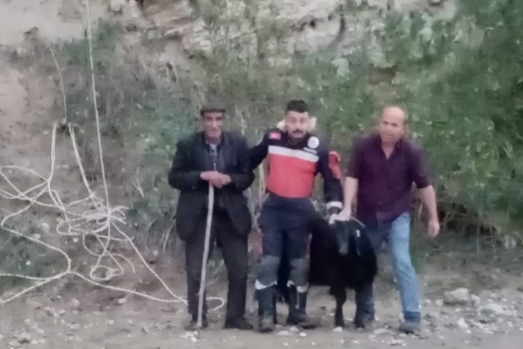 Denizli'de ke&ccedil;inin mahsur kaldığı yer g&ouml;renleri şaşırttı