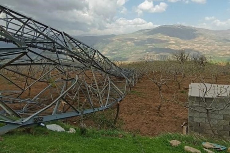 Siirt'te fırtınada devrilen direk fıstık ağa&ccedil;larının &uuml;st&uuml;ne d&uuml;şt&uuml;