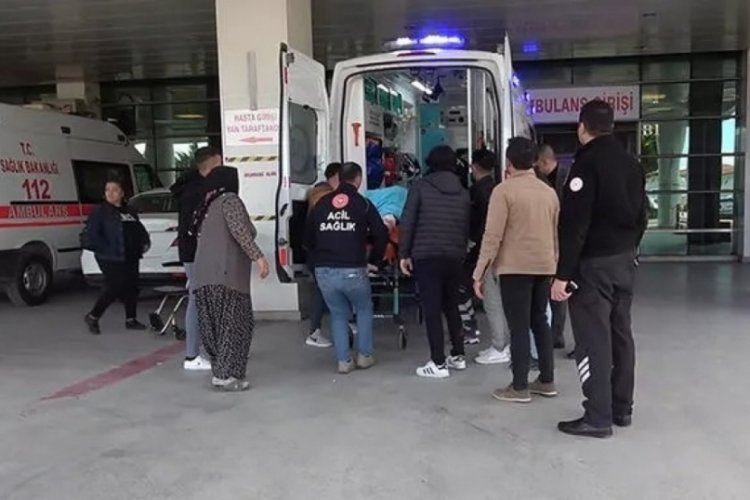 Akrabalar arasındaki 'tarlaya giren hayvan' tartışmasında kan aktı