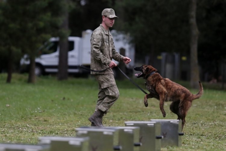 Bursa'da k&ouml;peklerin nefes kesen eğitimi