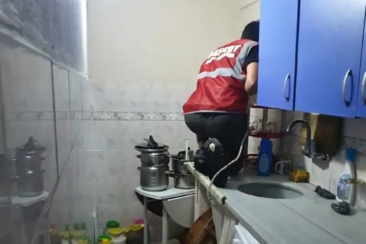 Bursa'da yaralı tilki bir eve sığındı