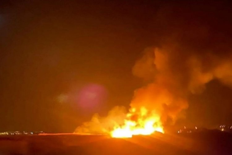 Van'da sazlık alanda korkutan yangın