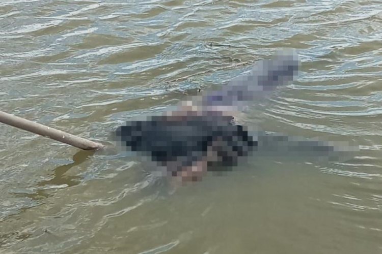 Edirne'de arife g&uuml;n&uuml; kaybolan kadın nehirde &ouml;l&uuml; bulundu