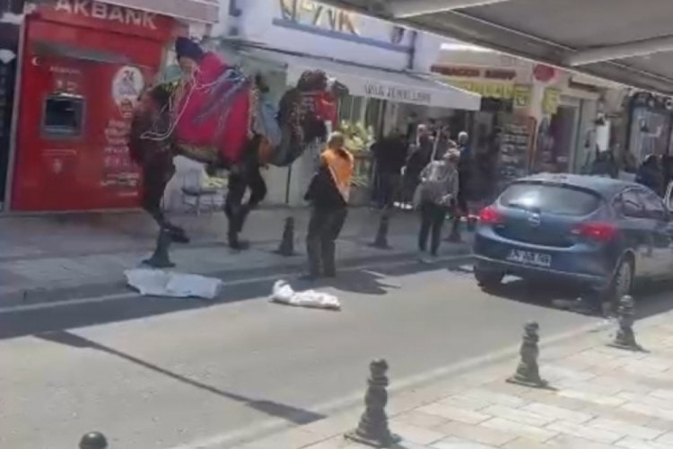 Bodrum'da deve paniği