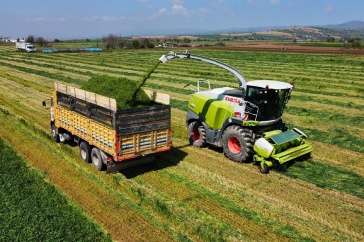 Bursa'da &uuml;reticiler hasat i&ccedil;in sahaya indi