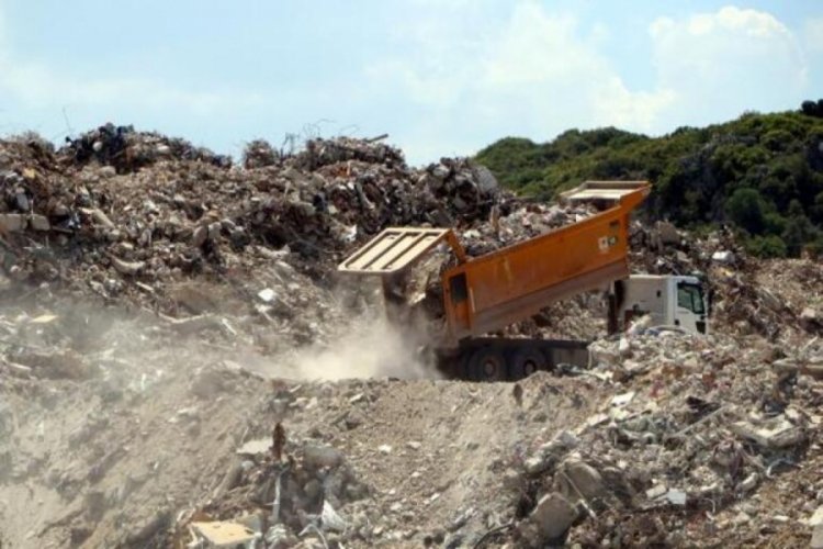 Hatay'da ormana ve zeytinliğe d&ouml;k&uuml;len molozlar ağa&ccedil;lara zarar veriyor