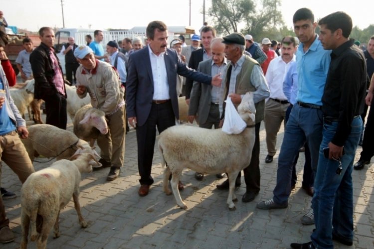 Bursa'da hayvan hareketleri kısıtlaması 28 Nisan'da kaldırılacak