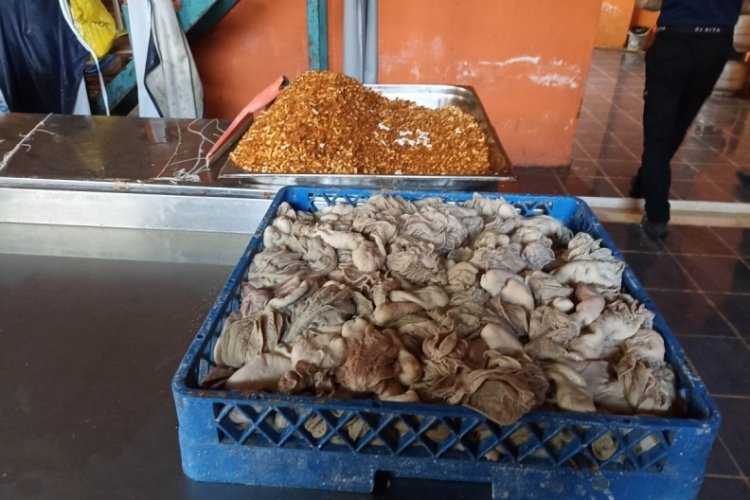 Mersin'de ka&ccedil;ak sakatat deposuna baskın! Deponun faaliyetine son verildi