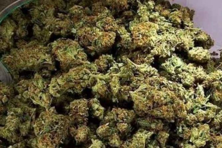 Manisa'da kargo paketinden esrar &ccedil;ıktı