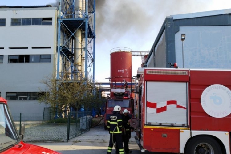 Kırklareli'de fabrikada yangın &ccedil;ıktı