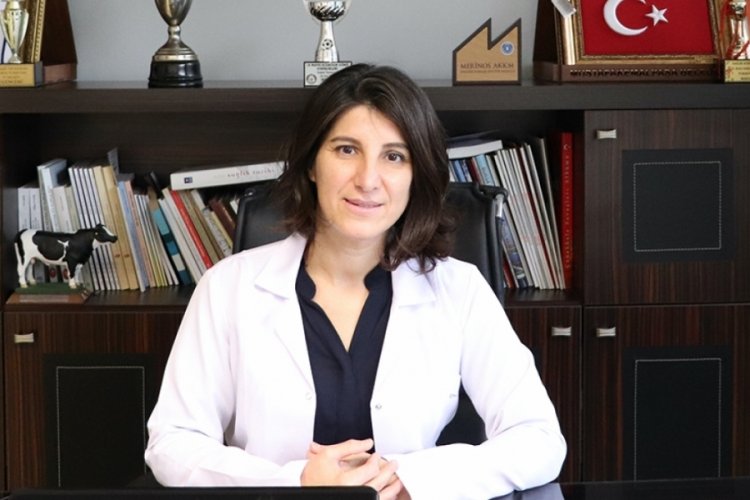 Bursa Veteriner Hekimler Odası Başkanı'ndan 'D&uuml;nya Veteriner Hekimler G&uuml;n&uuml;' a&ccedil;ıklaması