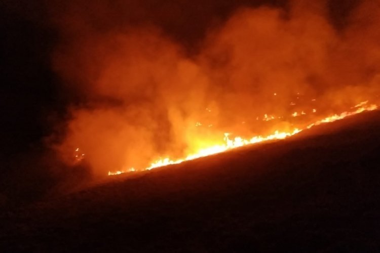 Muğla'da otluk ve makilik arazide yangın &ccedil;ıktı