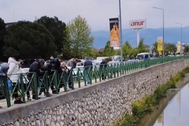 Bursa'da dereye d&uuml;şen k&ouml;peğin imdadına itfaiye yetişti