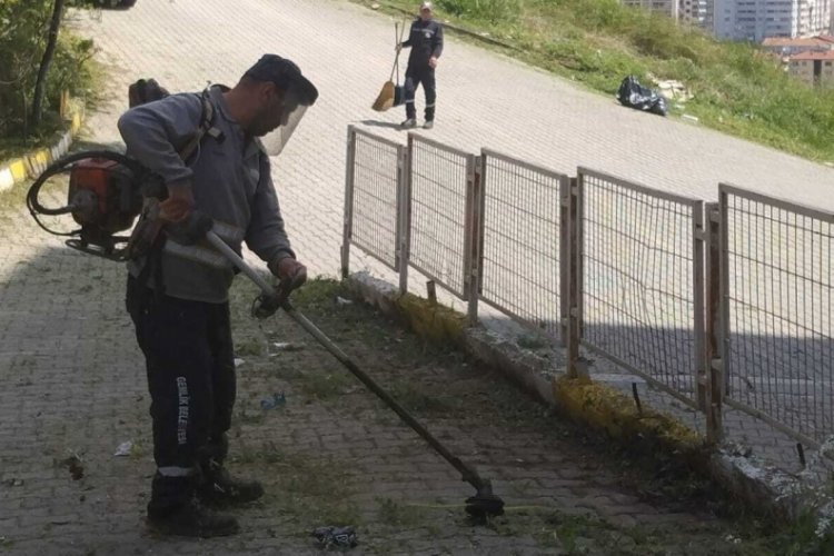 Bursa Gemlik'te bahar mesaisi