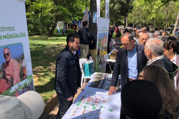 Bursa Gemlik'in tohumları &Ccedil;anakkale'de
