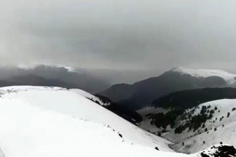 Ardahan'da kar yağışı nedeniyle ara&ccedil;lar yolda kaldı