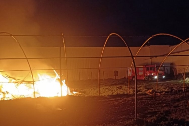 Kahramanmaraş'ta &ccedil;adır yangını korkuttu