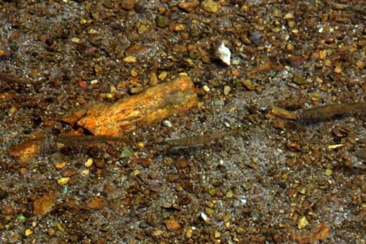 Erzincan'da bu kaynak suyundan şifa i&ccedil;in i&ccedil;iyorlar
