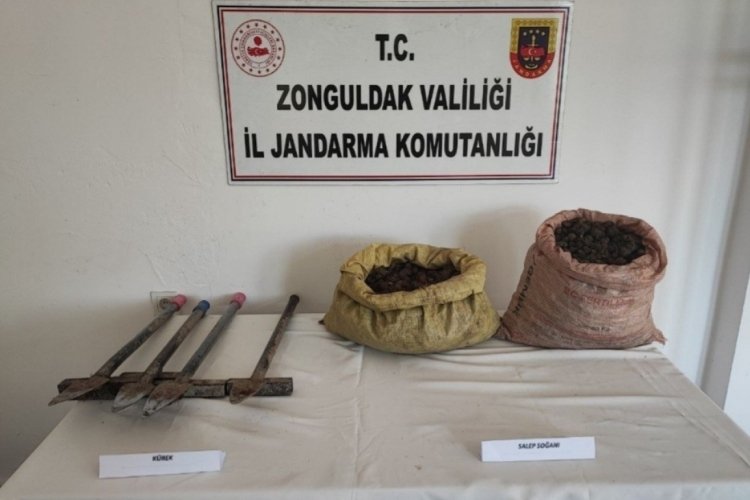Zonguldak Kdz Ereğli'de 32,2 kilo salep soğanı ele ge&ccedil;irildi
