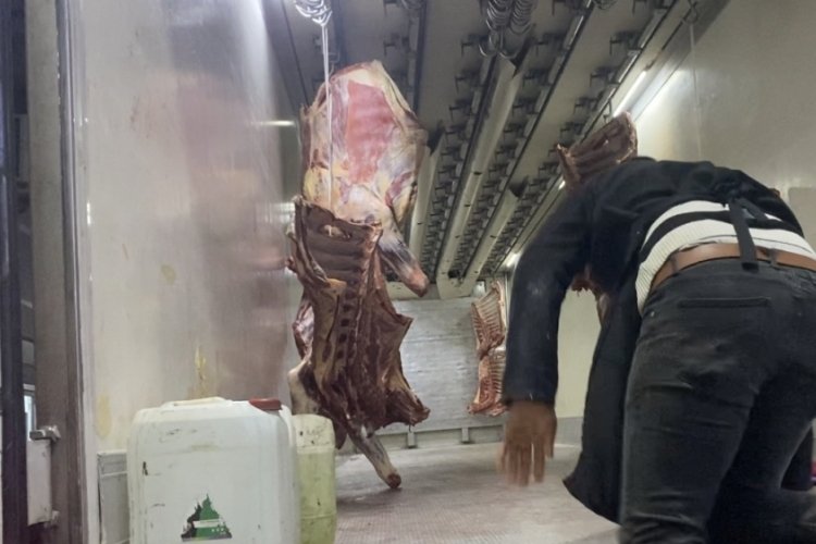İstanbul'daki et halinde et ve sakatat &uuml;r&uuml;nlerinde hijyen tartışması