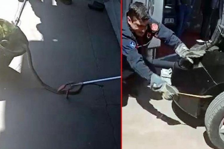 İstanbul'da itfaiye ekipleri otomobilden 1,5 metre yılan &ccedil;ıkardı!
