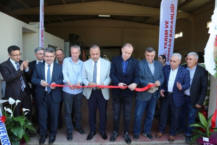 Bursa'da ay&ccedil;i&ccedil;ek işleme tesisi hizmete a&ccedil;ıldı