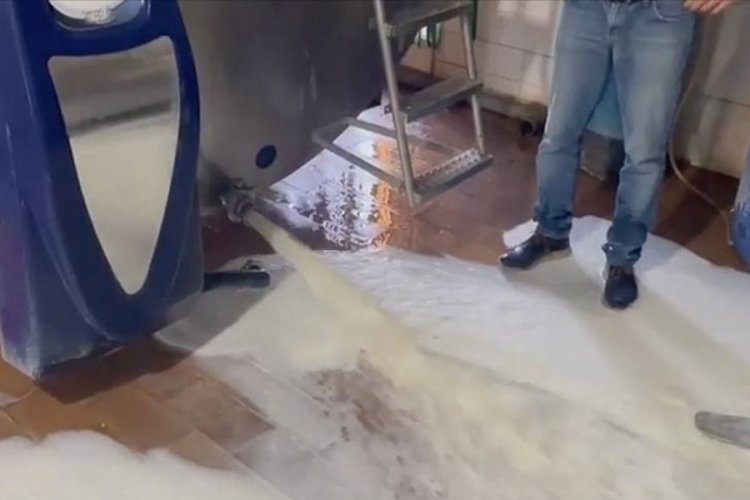 S&uuml;t alım fiyatına tepki g&ouml;steren işletmelerden s&uuml;t d&ouml;kme eylemi