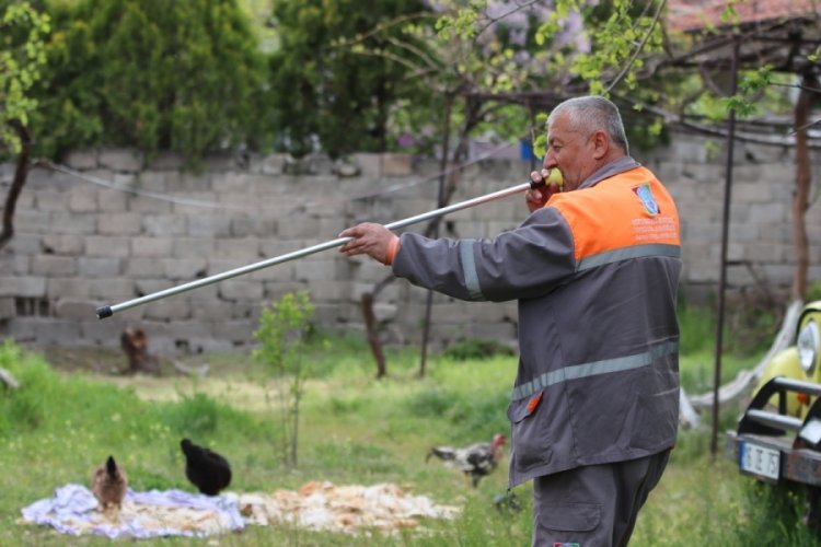 Kayseri'de sokak k&ouml;peği dehşeti: &Ouml;nce &ccedil;ocuğu ısırdı sonra bir k&ouml;peği boğdu