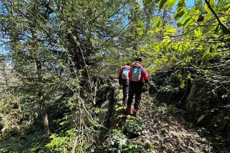 Kastamonu'da 5 g&uuml;n &ouml;nce kaybolan turist "cayrokopter" ve 110 personelle aranıyor