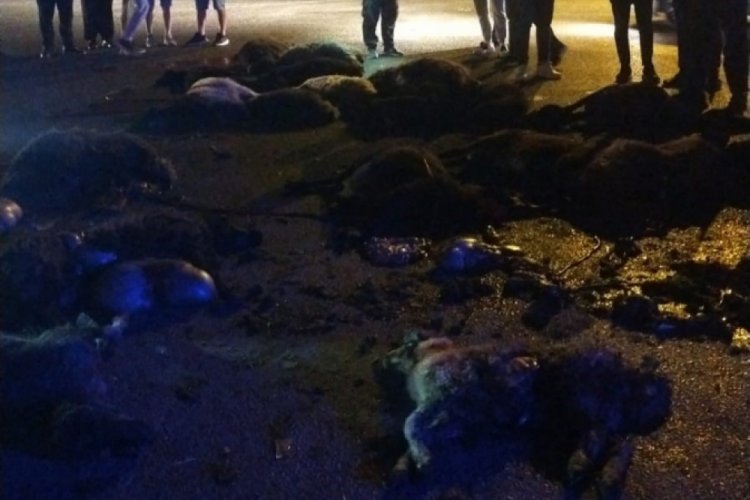 Mersin'de s&uuml;r&uuml;ye otomobil &ccedil;arptı! 20 koyun telef oldu