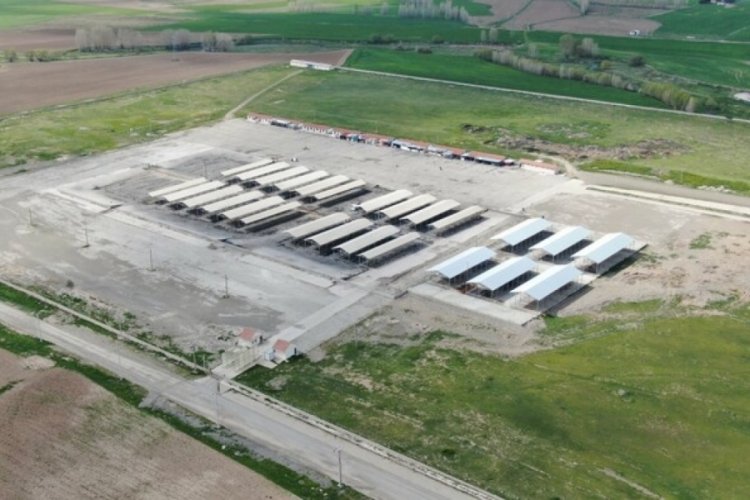 T&uuml;rkiye'nin en b&uuml;y&uuml;k hayvan pazarı yeniden a&ccedil;ıldı